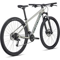 ROCKHOPPER SPORT 29 WHTTN/DSTTUR